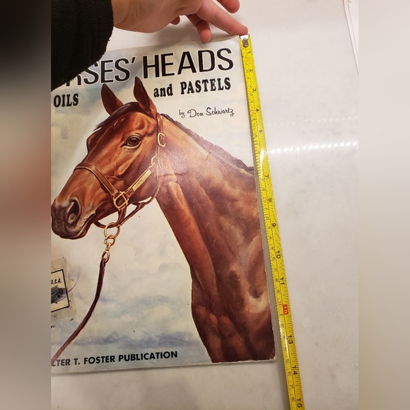 Horses Heads In Oils and Pastels by Don Schwartz - Picture 2 of 12
